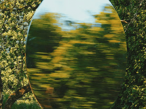 We’re Training Scientists for a World That No Longer&nbsp;Exists