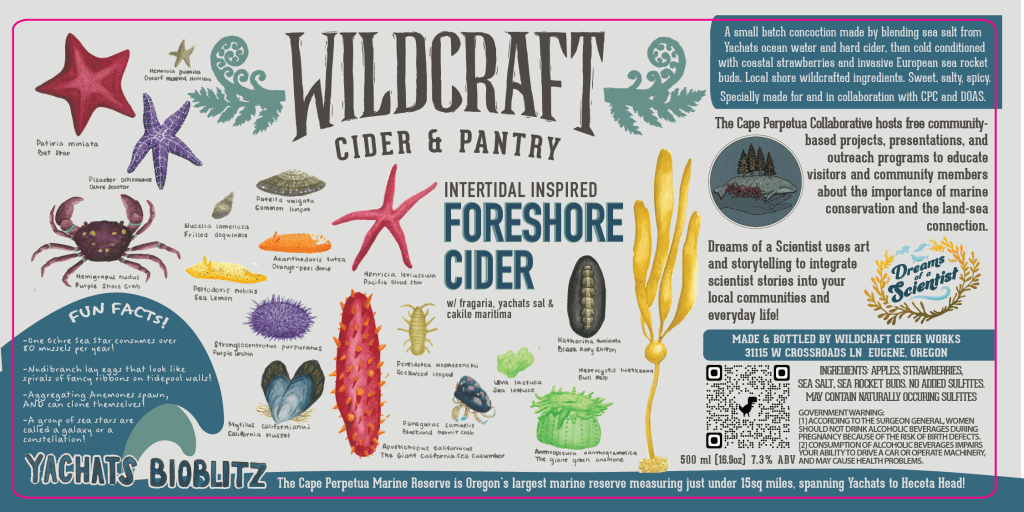 Foreshore Cider can label with an intertidal coastal design, from Wildcraft Cider Works in Yachats OR